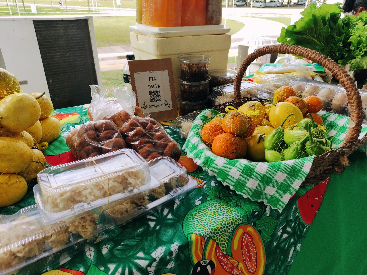Mesa ao ar livre com cestas de frutas (laranjas e jilós), potes de geleias
                    empilhados e embalagens de salgados e farinhas, sobre tecido verde estampado com
                    estampa de frutas tropicais.